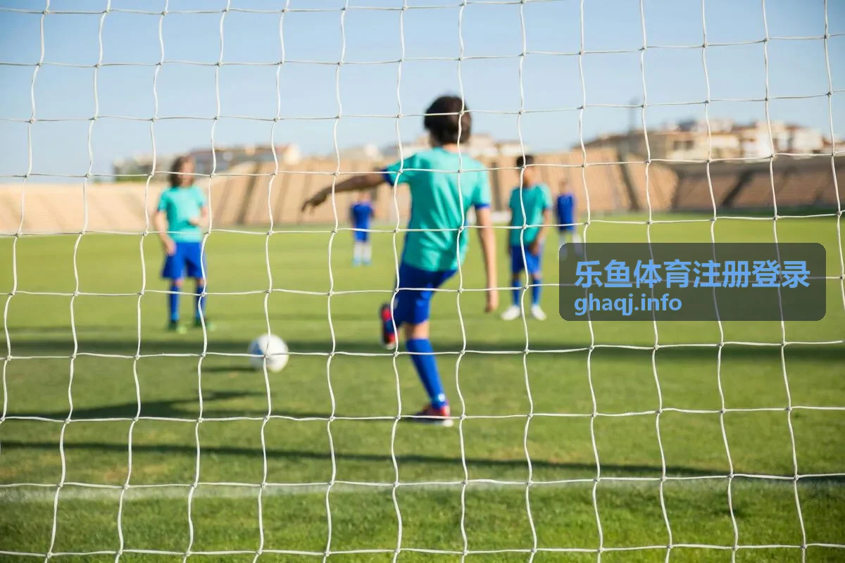 乐鱼体育注册流程指引