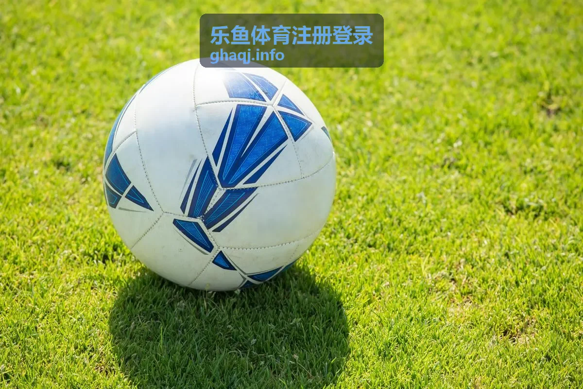 乐鱼体育账户安全保障