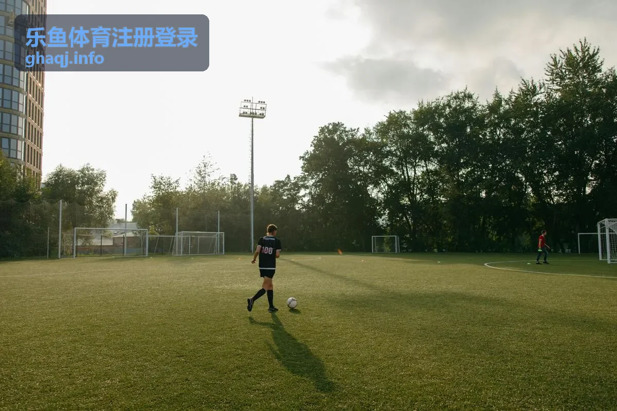 乐鱼体育登录问题解答多设备登录配图